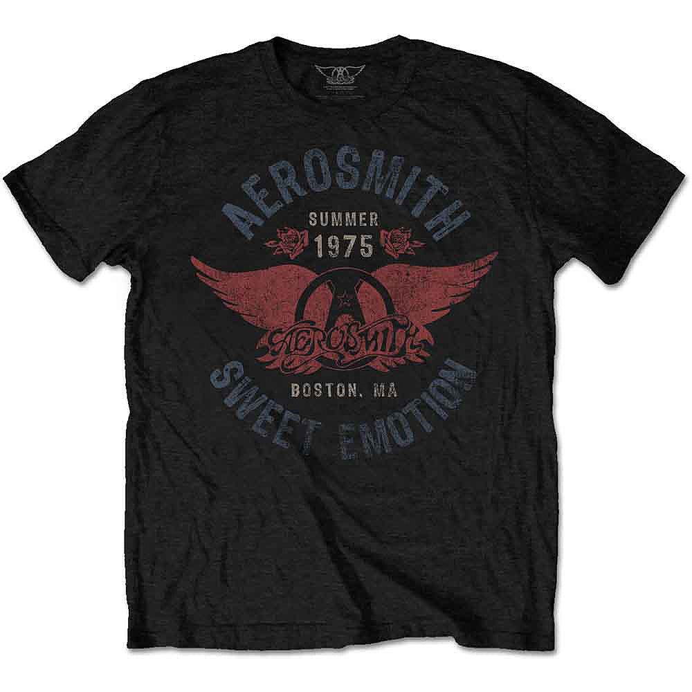 AEROSMITH エアロスミス (結成 55周年 ) - Sweet Emotion / Tシャツ / メンズ - PGS